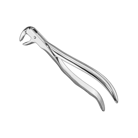 Extracting forceps, anat.